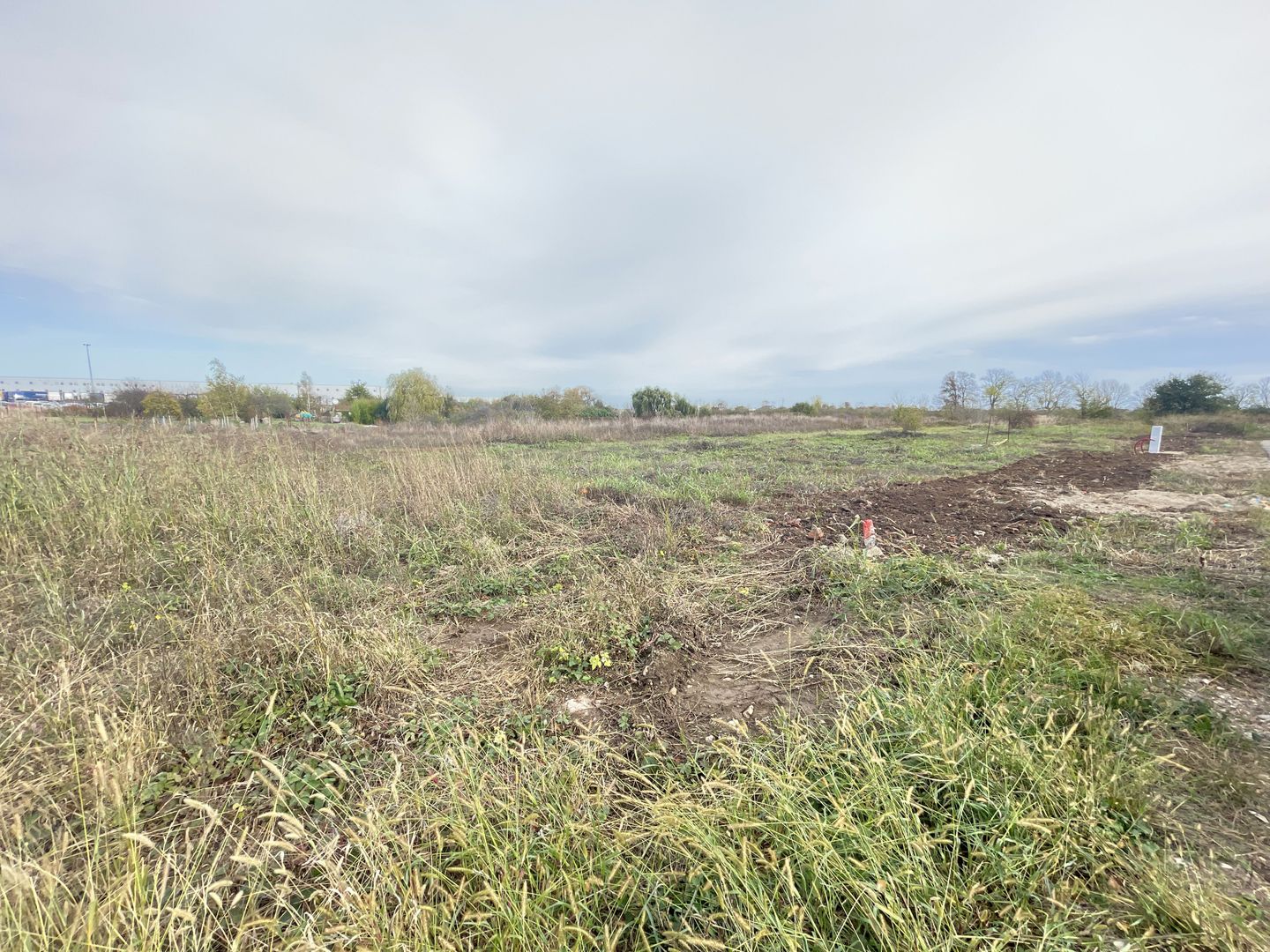 TEREN DUMBRAVITA 602 MP-FRONT 24 ML - Poză 3