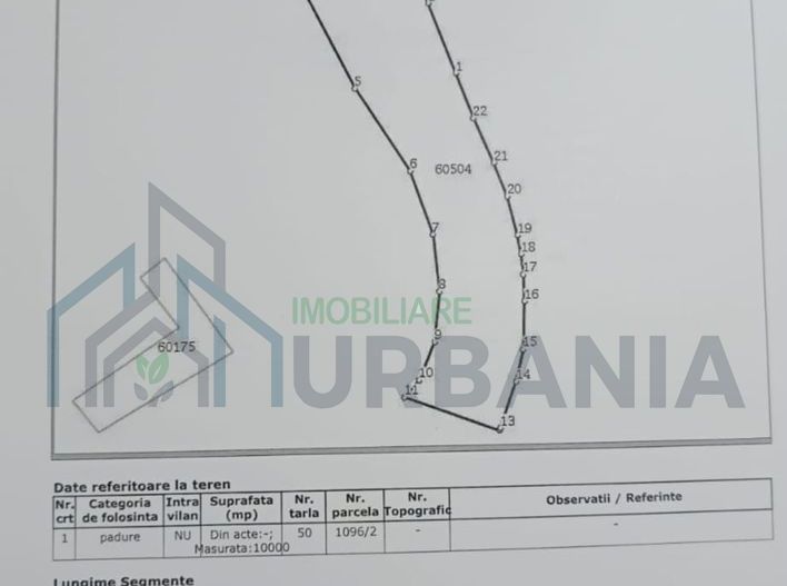 Teren cu pădure de salcâm de vânzare în Târgu Frumos, comuna Țigănași – ideal pentru apicultură - Poză 2