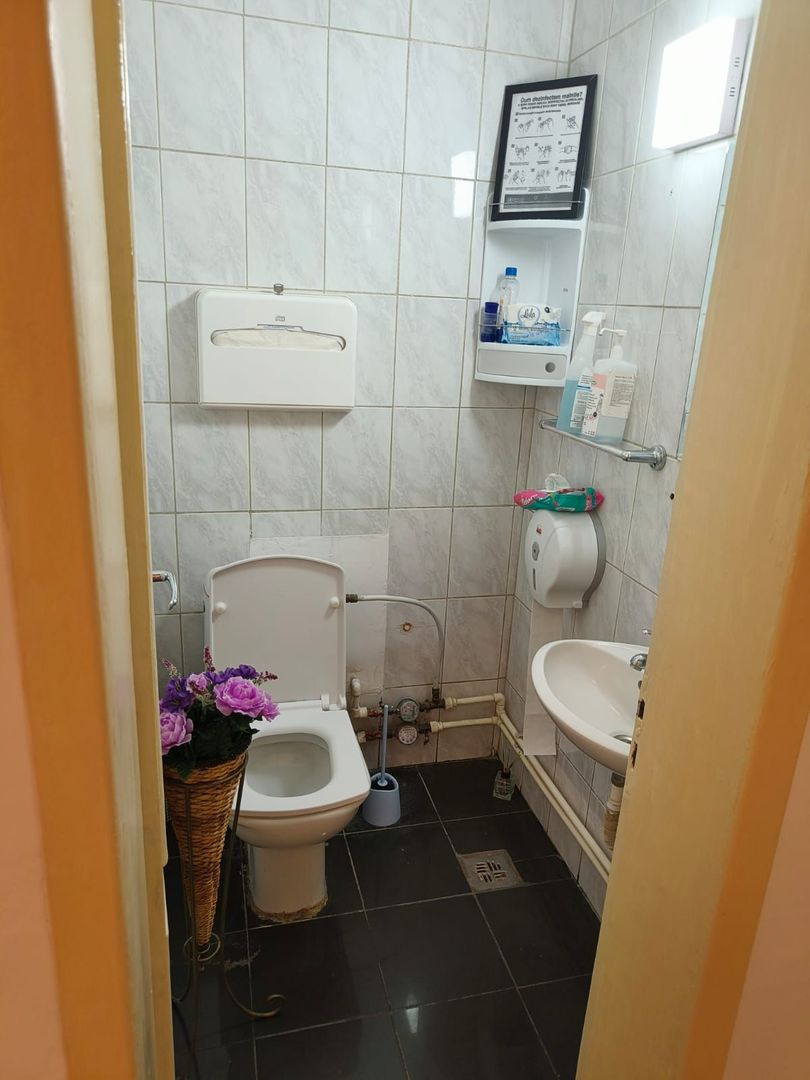 Apartament 4 camere Primaverii | Garaj + Boxă - Poză 5