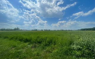 Teren intravilan | 3770 MP | Suceava, Frătăuții Vechi - Poză 5