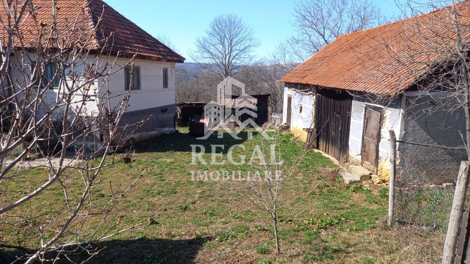 Două case de vânzare – Cerisor – teren generos 6996 mp - Poză 11