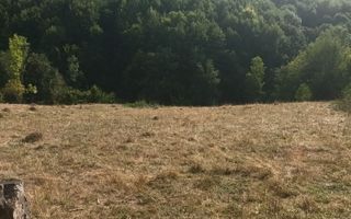 Teren de vanzare Coebeni-Turburea-Arges - Poză 2