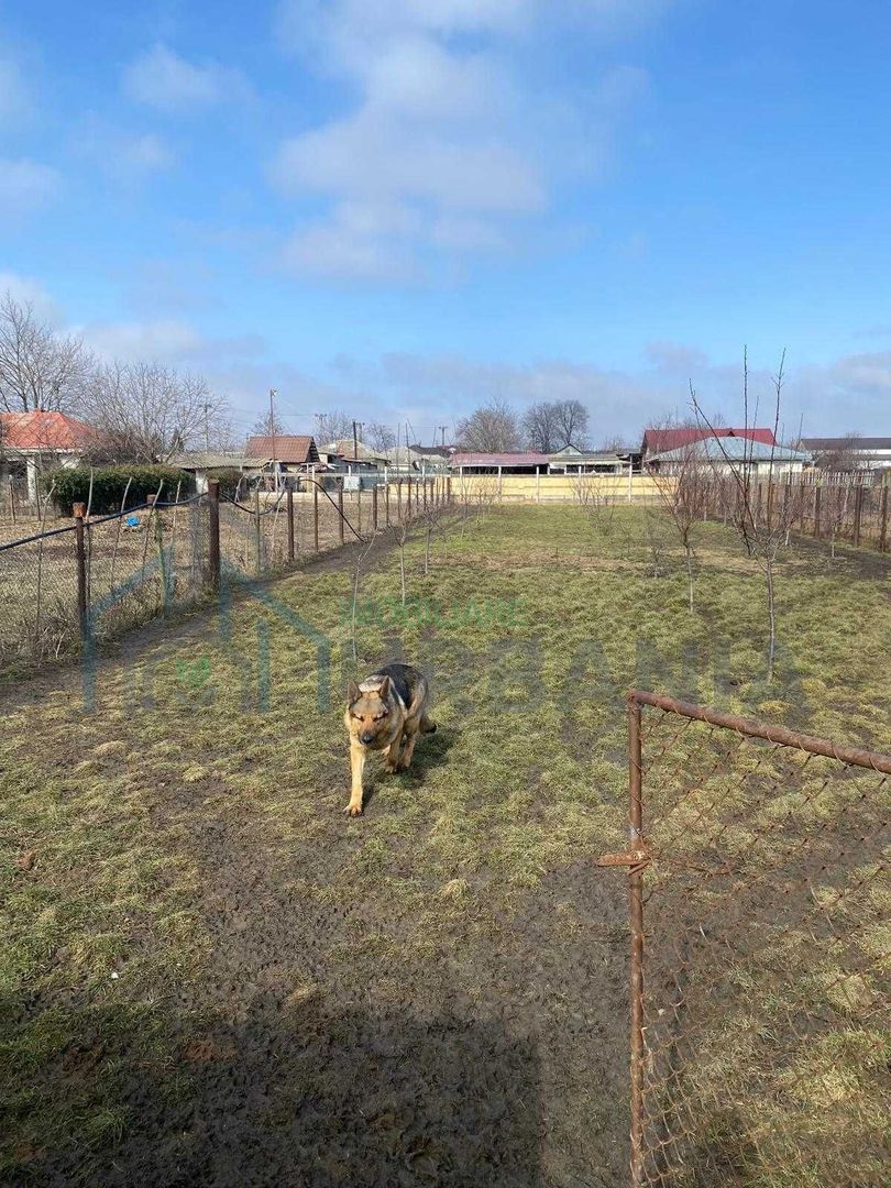 Investitie DN28 Iasi-Spatiu Comercial si Casa P/E/M-Parcare 299000Euro - Poză 6