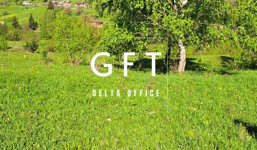 Teren extravilan de vanzare, Bistrita Bargaului- 10 minute de Colibita - Poză 15