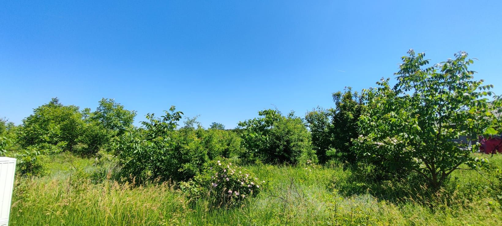 Lot pentru două case – Corbeanca Tamași - Poză 13