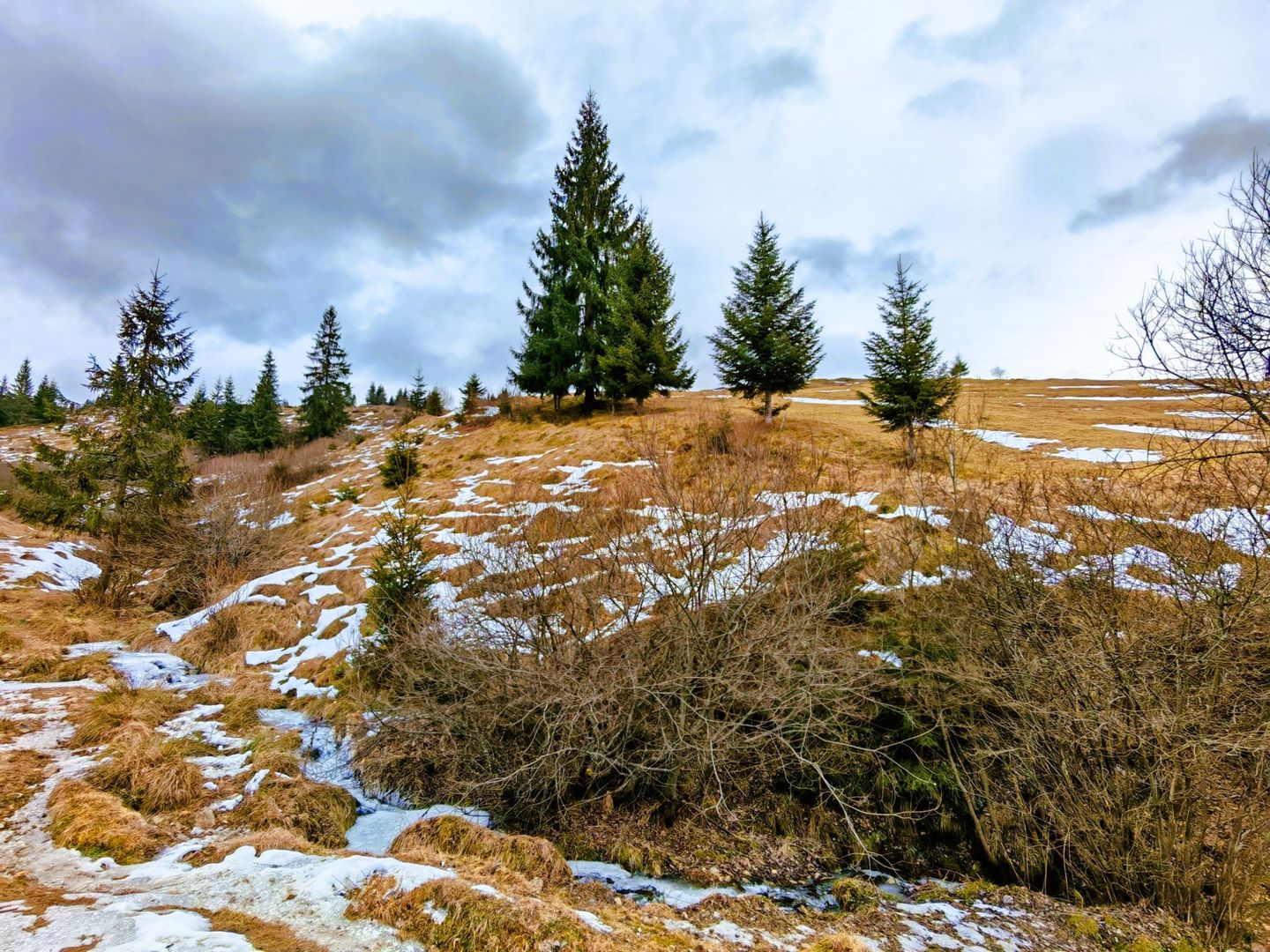 Teren 9511 mp + casa, intravilan, în Beliș Munții Apuseni, Cluj - Poză 7