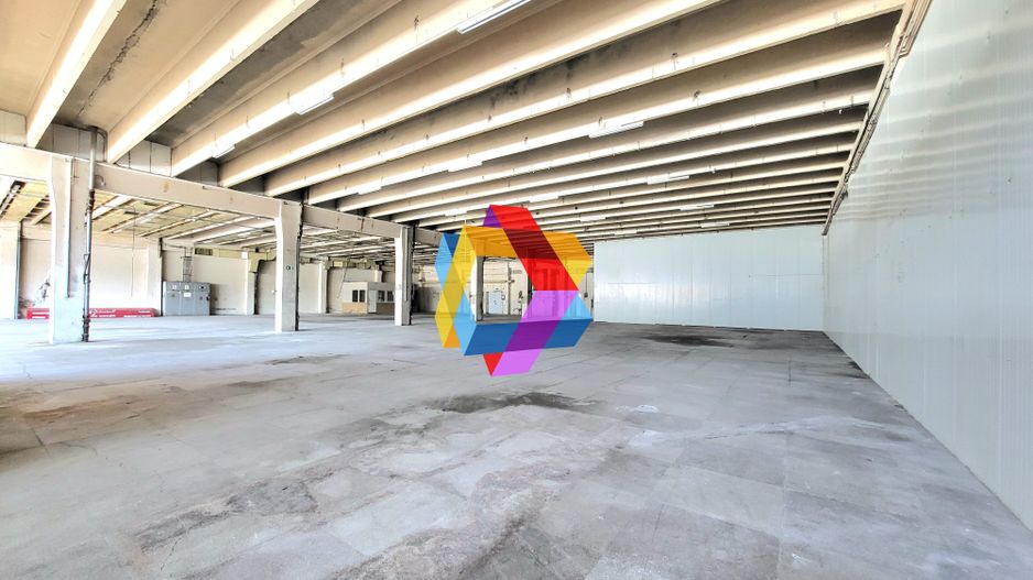 Spatiu industrial - 1229 mp  # plus-imo.ro - Poză 3