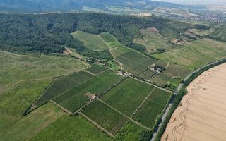 Vie Tradițională „Halta Lupilor” - Poză 27