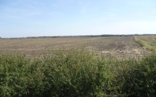 Vand teren pe soseaua de centura, la 800 de metri de Calea Aradului - Poză 5