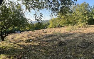Teren intravilan 3003 mp cu casă bătrânească, fântână și curent electric în Dobrovat, Iași - Poză 8