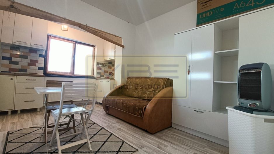 Garsoniera - 250 euro - Vișan ! - Poză 9