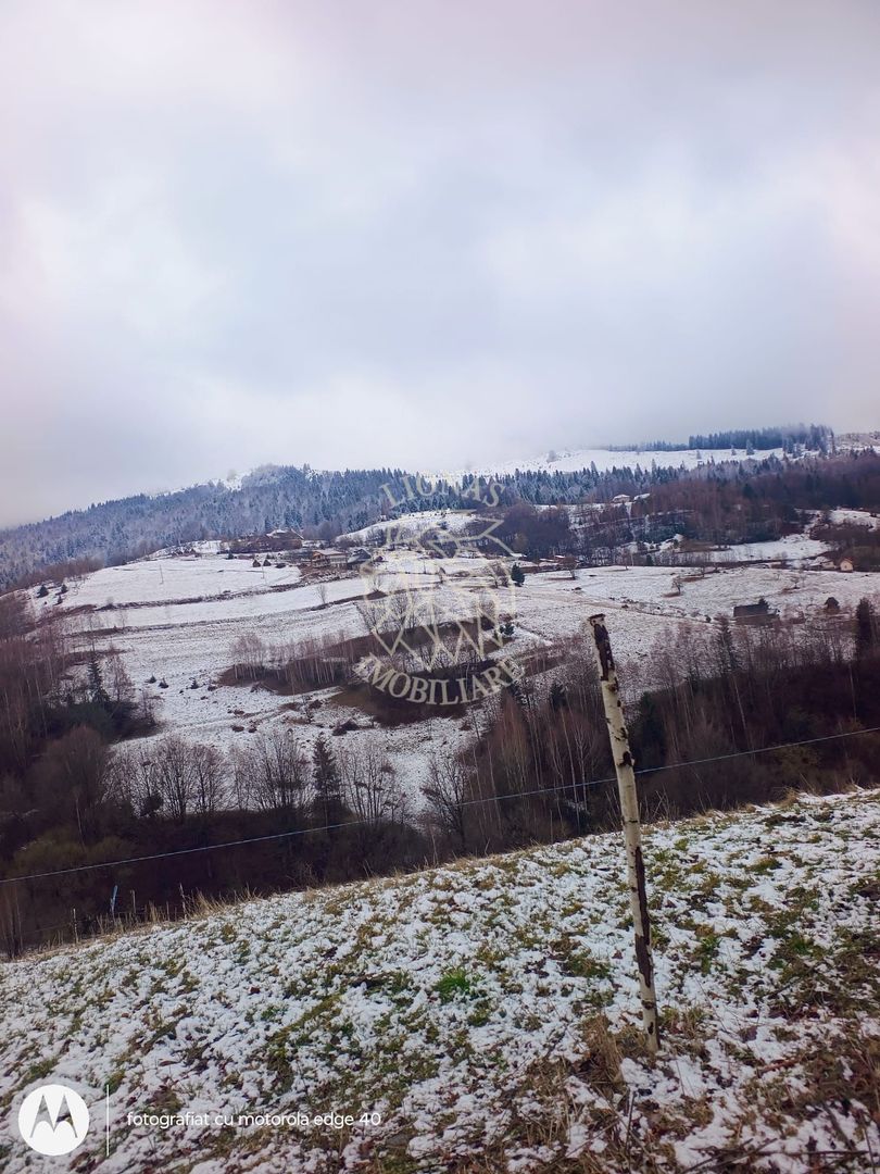 COMISION 0 TEREN TURISTIC EXTRAVILAN APROAPE DE PADURE VISAGU VLADEASA CLUJ - Poză 4