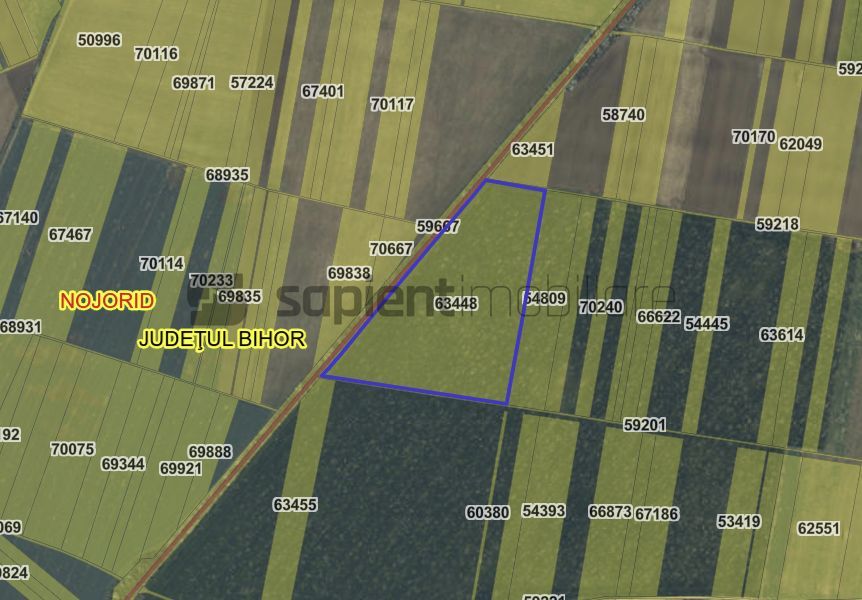 Teren arabil in Nojorid. Investiție sigură la preț excelent - Poză 1