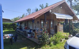 Plantatie de Muri Baicoi 10.000 mp Afacere la cheie! - Poză 10