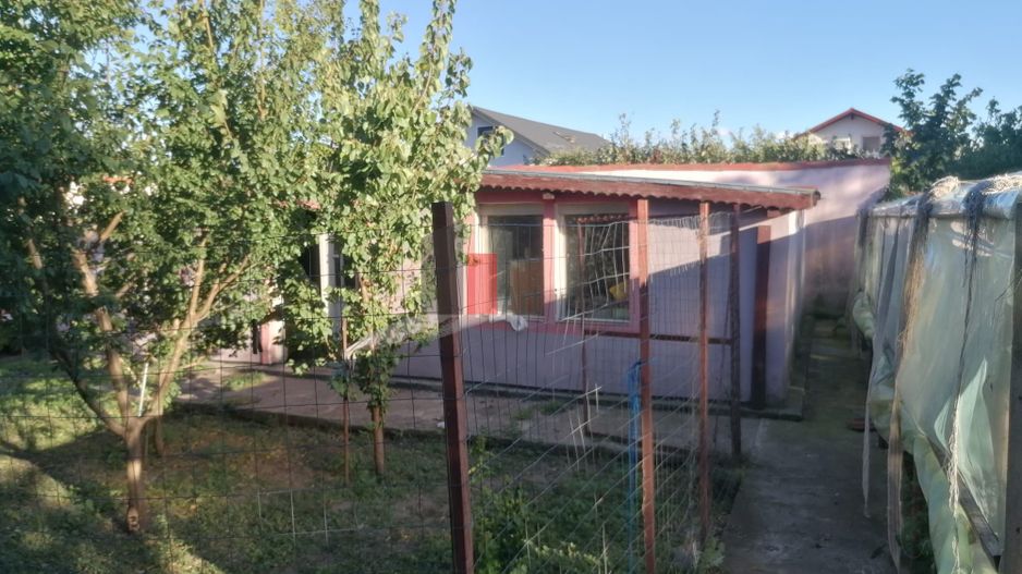 Comuna Dascalu-lfov-Vila D+P+M-5 camere-teren 772mp-ZERO comision cumparator - Poză 14