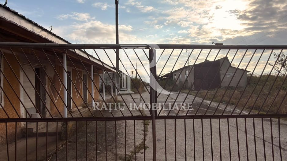 Fermă Sărand | Bihor | 25.659 mp teren intravilan - Poză 4