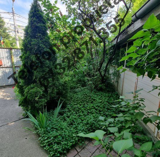 Vilă la 50 m de metrou Jiului - Poză 3