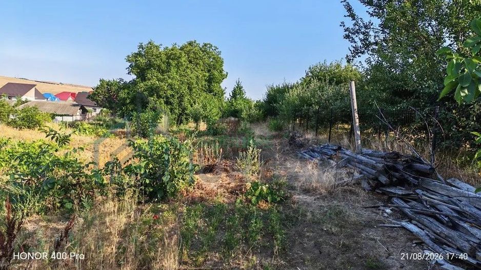 Teren de vânzare în Dealul Viilor, Hârlău – 2.100 mp, gard și pomi fructiferi - Poză 2