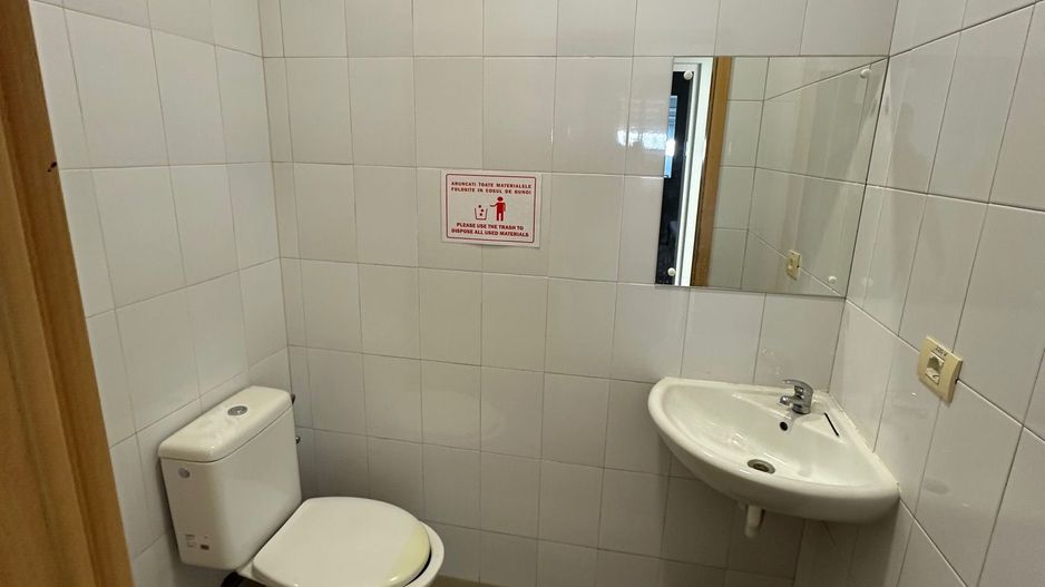 Spatiu productie/ depozitare  zona Sagului - Poză 19