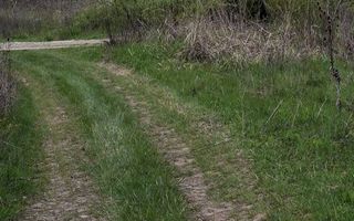 Teren extravilan de vanzare, Bucium, Iasi - Str. Boiangiu, vizavi de Carter Vile Teh Construct - Poză 3