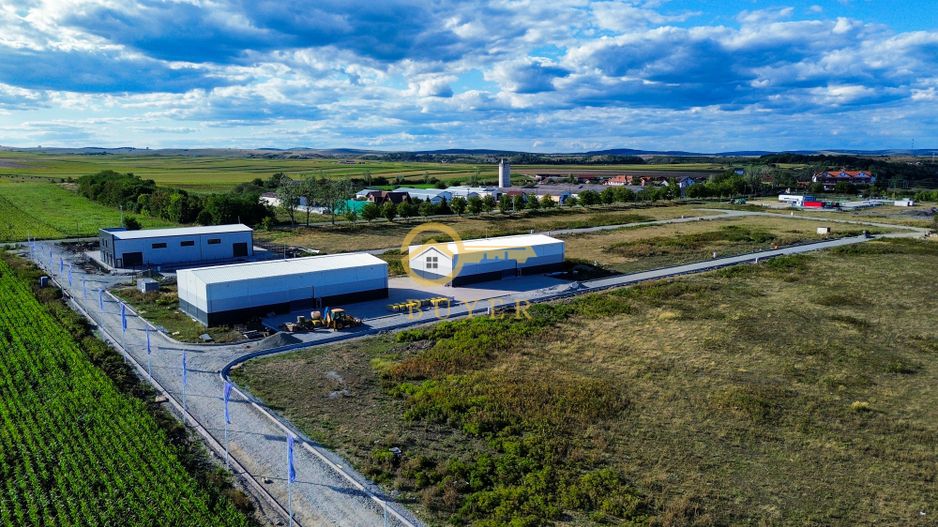 Teren intravilan cu PUZ aprobat pt hale industriale- Zona Sura Mica - Poză 6