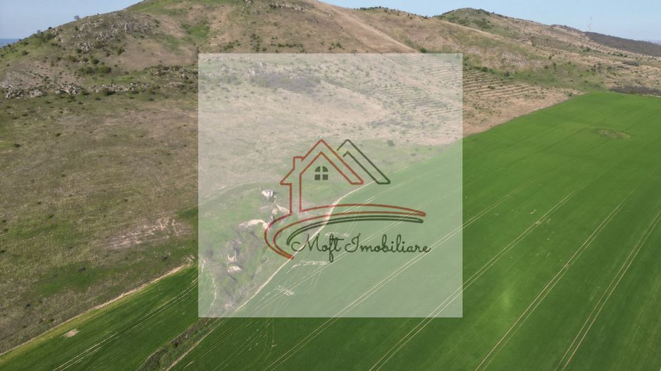 Oportunitate Investiție – Fermă 9,5 Ha cu 10.000 mp Construcții - Poză 5