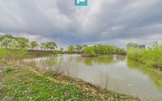 Teren 1 ha cu baltă populată – Alioș (Mașloc) - Poză 2