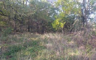 Teren de vânzare în Dascalu, judet Bucuresti Ilfov - Poză 14