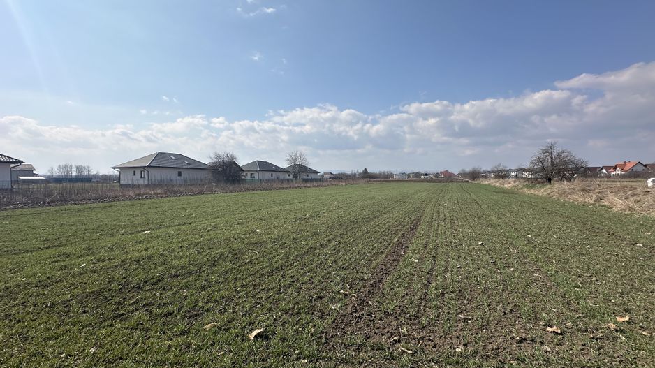 Teren intravilan 20 ari | Rădăuți | Front stradal 19.49 m - Poză 12