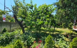 Casa eleganta cu tavane inalte si gradina superba - Poză 14