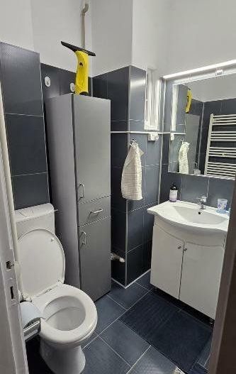 Apartament 3 camere de inchiriat Piata Operei - Poză 10