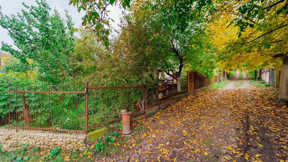 Lot pomicol de 6 ari în Ialoveni, cu construcție auxiliară. - Poză 2
