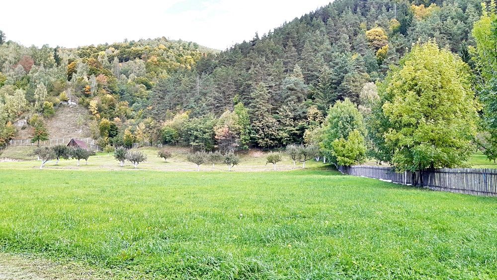 Teren superb de 16240mp, parcelabil, in Bran la intrare in Moeciu de Jos - Poză 15