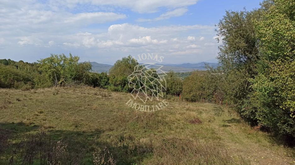 Teren  42,200 mp (4,22 hectare)-Parcelabil-investitie-Valea Jelnei - Poză 1