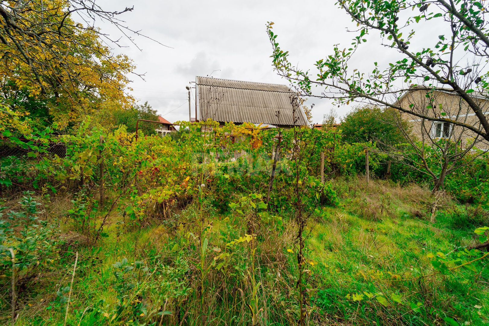 Lot pomicol de 6 ari în Ialoveni, cu construcție auxiliară. - Poză 11