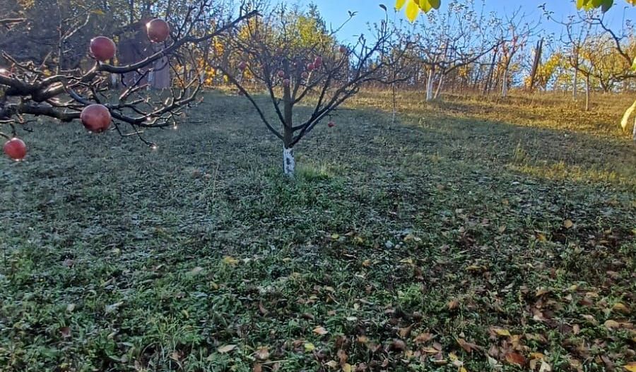 Teren intravilan 3000 mp - Corunca - Poză 9