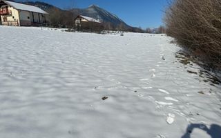 Teren Intravilan 1.500 mp | Vedere Panoramică| Tohanita - Poză 3