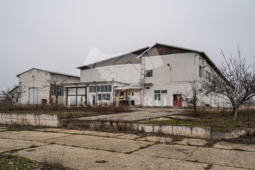 Teren 28.788m + Hale industriale + Sediu Firma - Poză 31