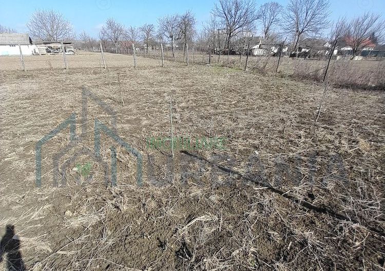 Loc de casă în Prisecani, comuna Popricani - Poză 2