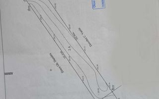 Teren cu vie și livadă, 5442 mp, Contesti (Valea Seaca), Iasi - Poză 8