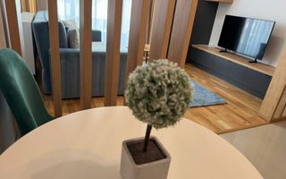 Apartament 2 camere open-space Himson Apartaments - Poză 22