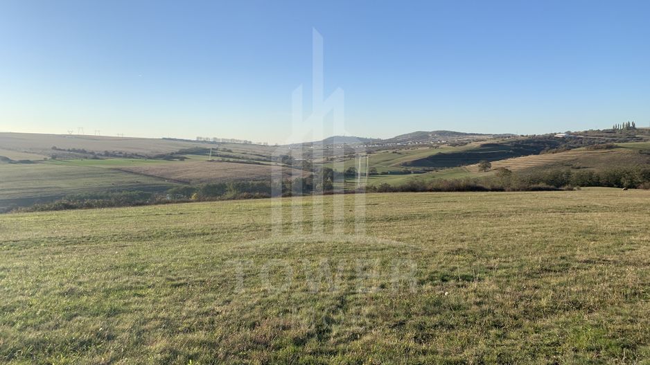 Teren pentru constructie cabana in Dealul Daii-parcele de 650 mp - Poză 4