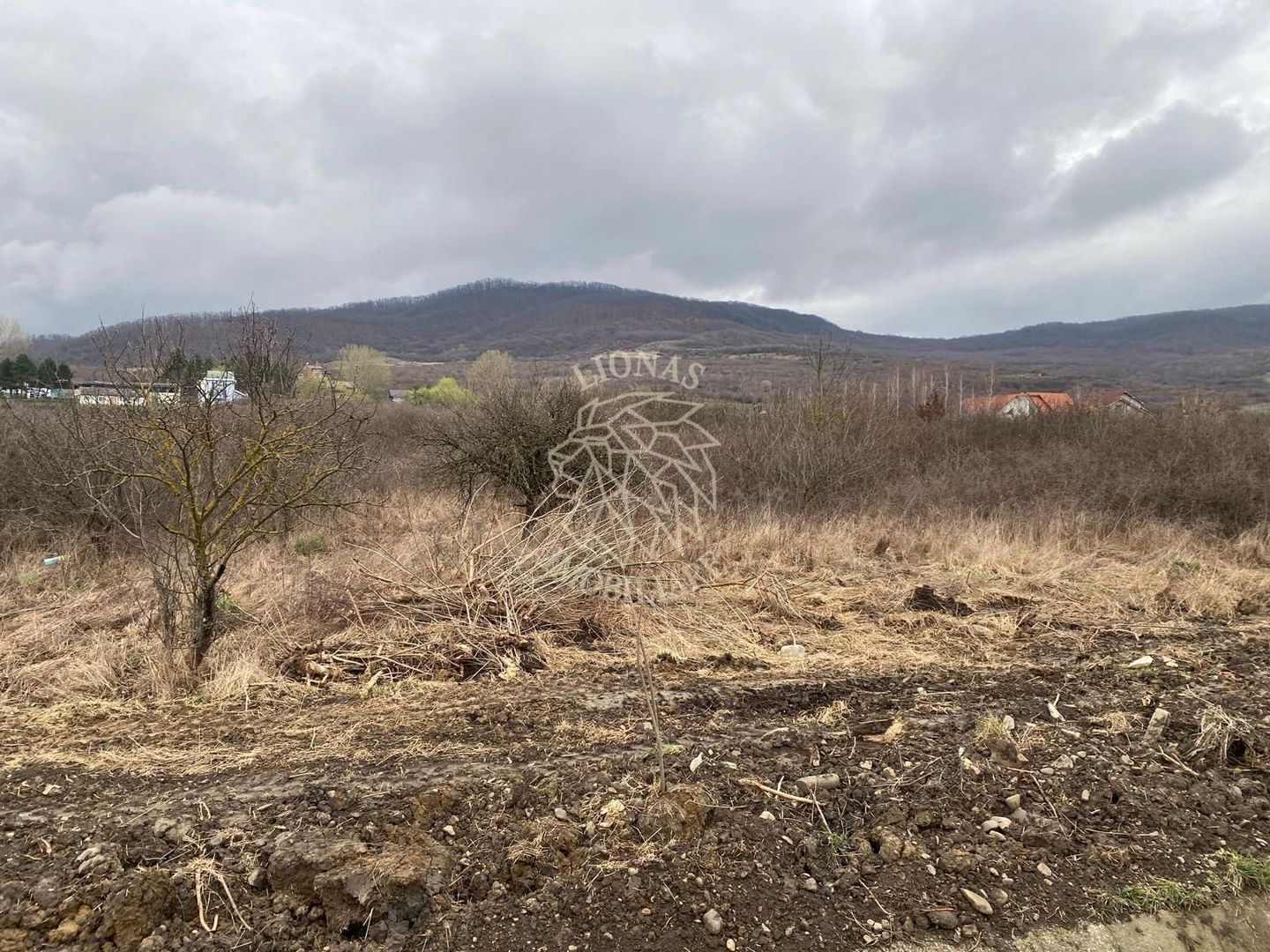 Teren 12,719 mp cu deschidere la DN17-ideal hala/parcare-Crainimat - Poză 3