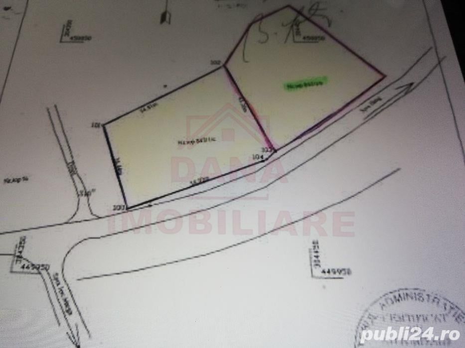 TEREN INTRAVILAN ÎN MARGA-LA DN68 JUD.CARAȘ-SEVERIN - Poză 9