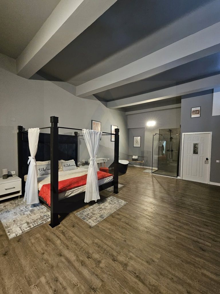 Garsoniera regim hotelier sau spatiu comercial 46 mp utili Terezian - Poză 3