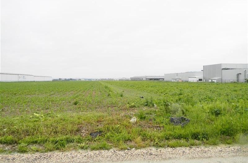 Teren pentru hale-Ghimbav-Joysonquin - Poză 10