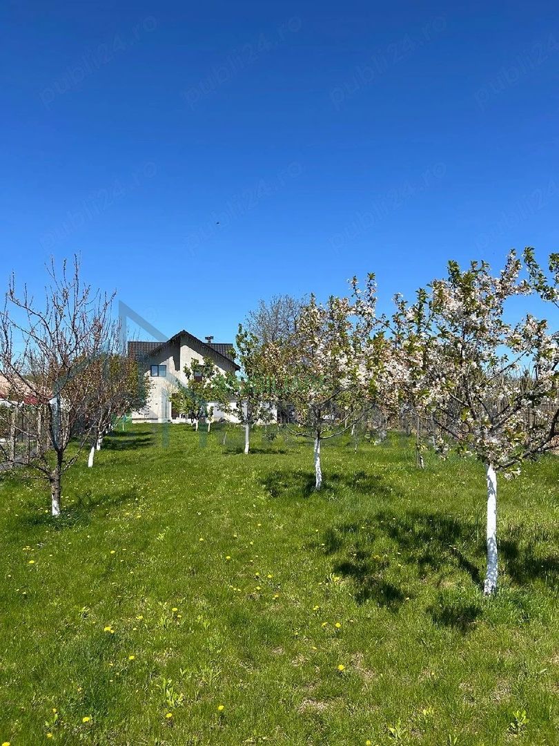 Casă de vânzare în comuna Țuțora, județul Iași – 180 mp, teren 1200 mp - Poză 5