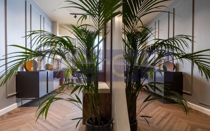 INCHIRIERE 2 CAMERE | CALEA FLOREASCA | 65MP | MOBILAT SI UTILAT LUX | - Poză 5