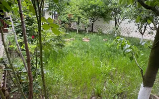 Casa P+M, comuna Berceni - Poză 11
