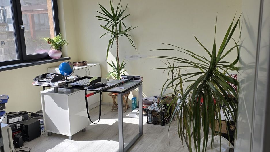 COMISION 0%, Casa Individuala, 6 Camere, 156 Mp, 550 Mp Teren, SACALAZ - Poză 9